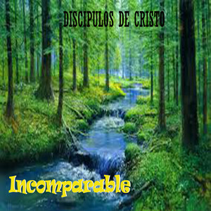 Incomparable