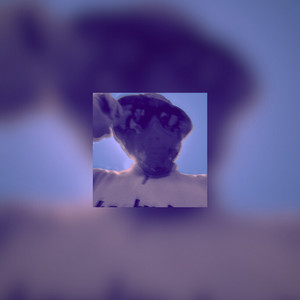 Μπουρνάζι, Τζιτζιφιές (Explicit)