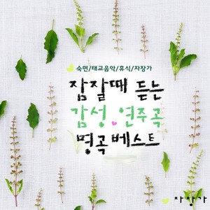 쇼팽 - 연습곡 3번 마장조 작품번호 10 `이별의 곡` (肖邦  练习曲 No 3 E大调 Op 10 离别曲)