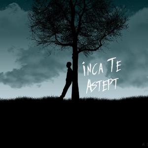 Inca Te Astept (Explicit)