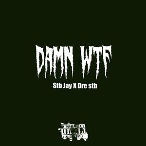 DAMN WTF (Explicit)