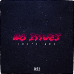 NO ISSUES