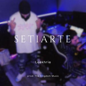 Setiarte