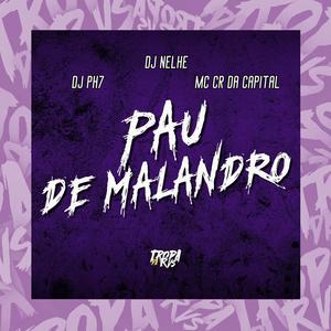 Pau de Malandro (feat. DJ PH7|Explicit)