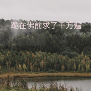 跪在佛前求了千万遍