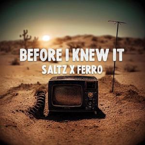 Before I Knew It (feat. Ferro) [Explicit]