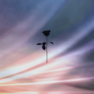 Half of the Yellow Sun (Original Mix)