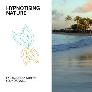 Hypnotising Nature - Exotic Ocean Stream Sounds, Vol.3