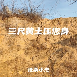 三尺黄土压您身封面