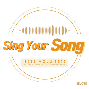 Sing Your Song Vol.13