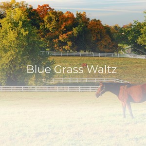 Blue Grass Waltz