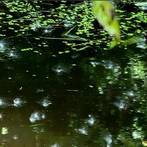 this a masterpiece on a blimp