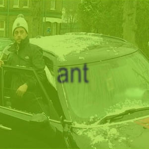 ant