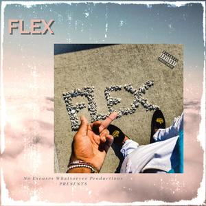 FLEX, Chapter 1 (Explicit)