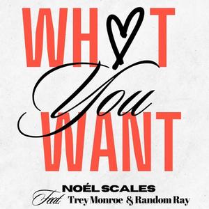 What You Want (feat. Trey Monroe) [Radio Edit]