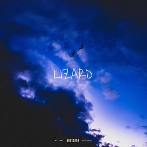 LIZARD (Explicit)