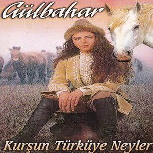 Kurşun Türküye Neyler