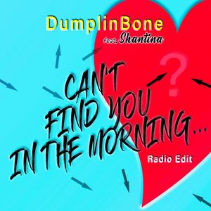 Can't Find You In The Morning (feat. Shantina) [Radio Edit]