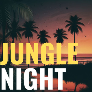 Jungle Night