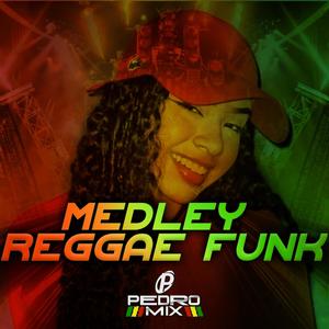 Medley Reggae Funk (Reggae Remix)