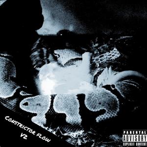 Constrictor Flow (Slowed) (Explicit)