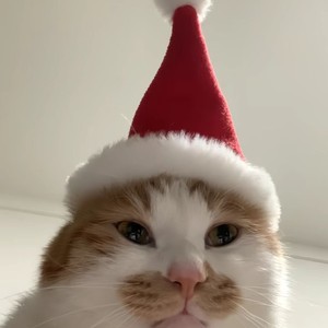 Something Just Like This (圣诞版)