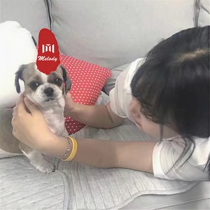 温柔小曲封面