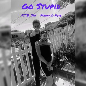 Go Stupid (Explicit)