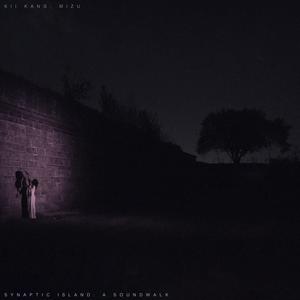 Synaptic Island: A Soundwalk