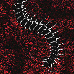 Tausendfüßler (Explicit)