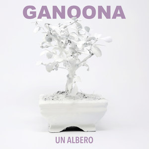 Un albero