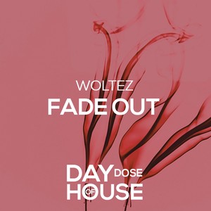 Fade Out (Extended Mix)