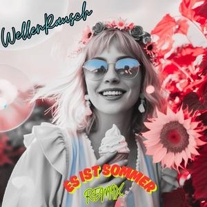 Es ist Sommer (1 Anniversary Remix Version)