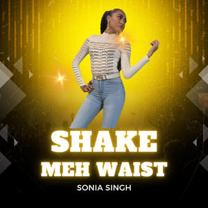 Shake Meh Waist