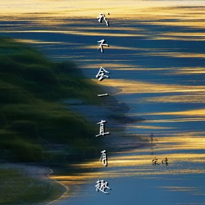 我不会一直有趣