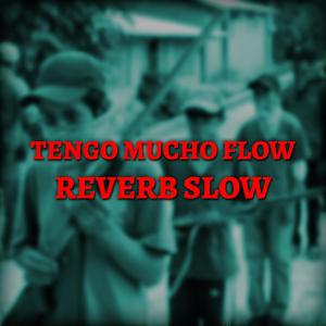 Tengo Mucho Flow (Reverb Slow)