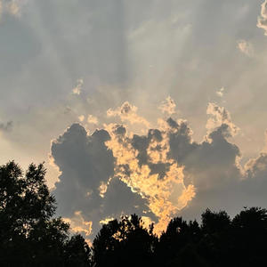 LOVEJOY LN. (Explicit)