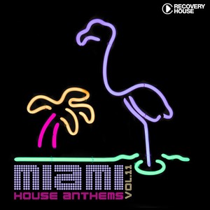 Miami House Anthems, Vol. 11