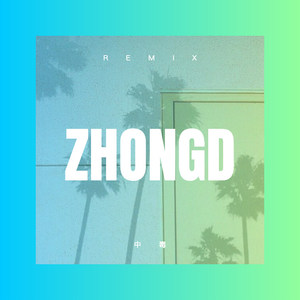 给不起就别承诺 (DJ版)