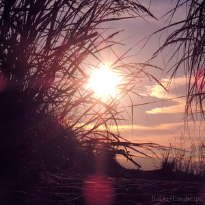 The Sea (Original Mix)