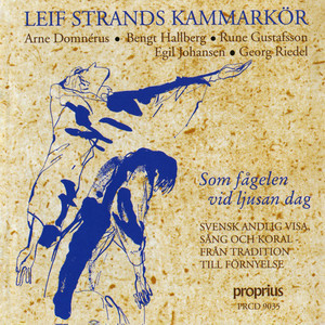 Blowin' in the Wind (arr. J. Johanson)