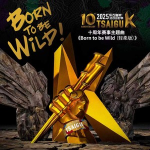 Born to be Wild (轻柔版)封面