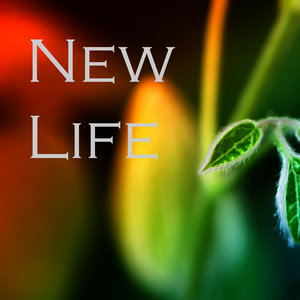 New Life