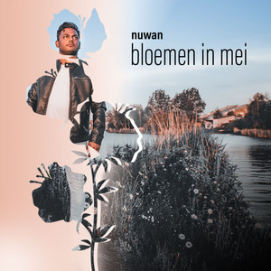 Bloemen In Mei