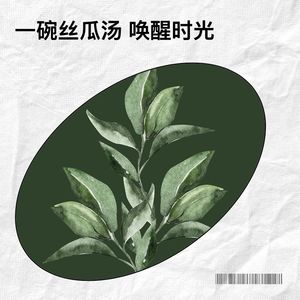 一碗丝瓜汤 唤醒时光-雷鬼老师