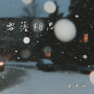 雪落相思
