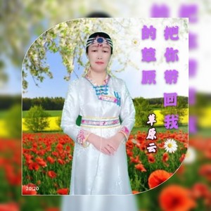 把你带回我的草原