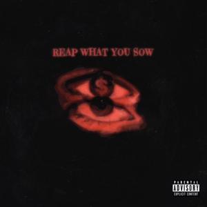 Reap What You Sow (Explicit)