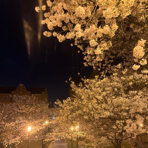 it's jus me (Explicit)