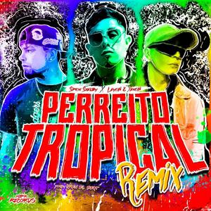 Perreito Tropical (feat. Leyón & Xenón, G en el beat & Maria wild production) (Rmix)